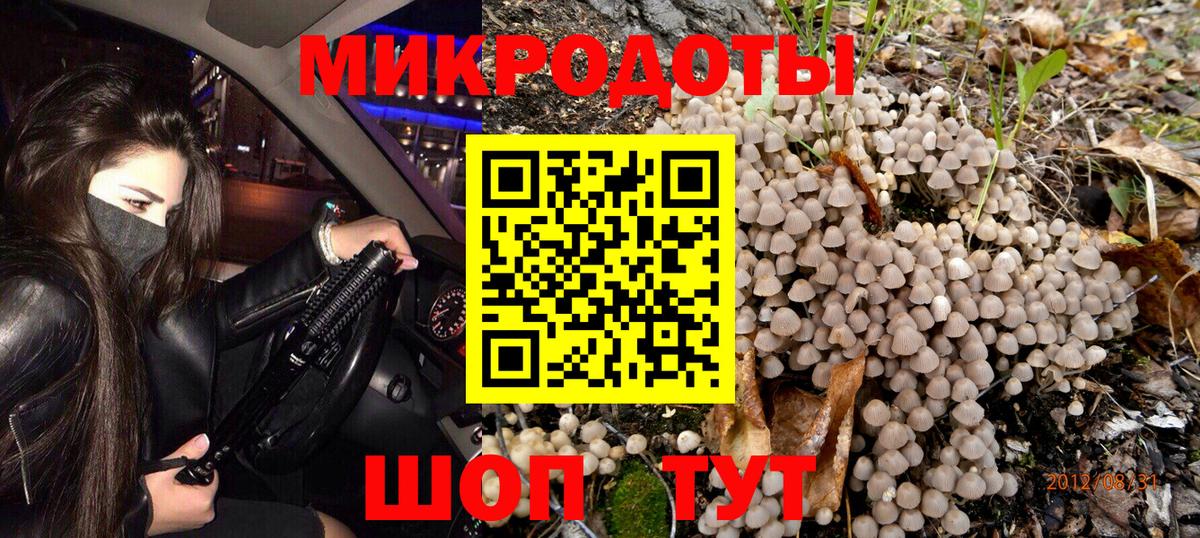 Псилоцибиновые грибы MAGIC MUSHROOMS Артёмовский